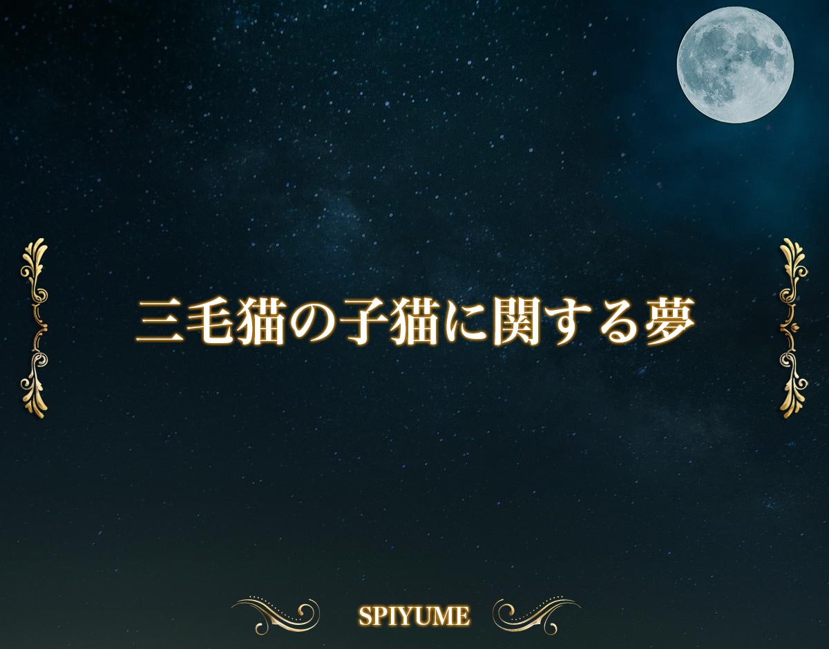 「三毛猫の子猫に関する夢」の意味